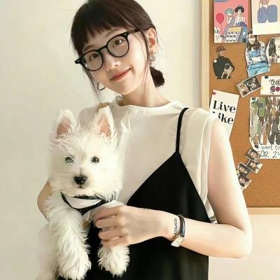 未闻花名 海报